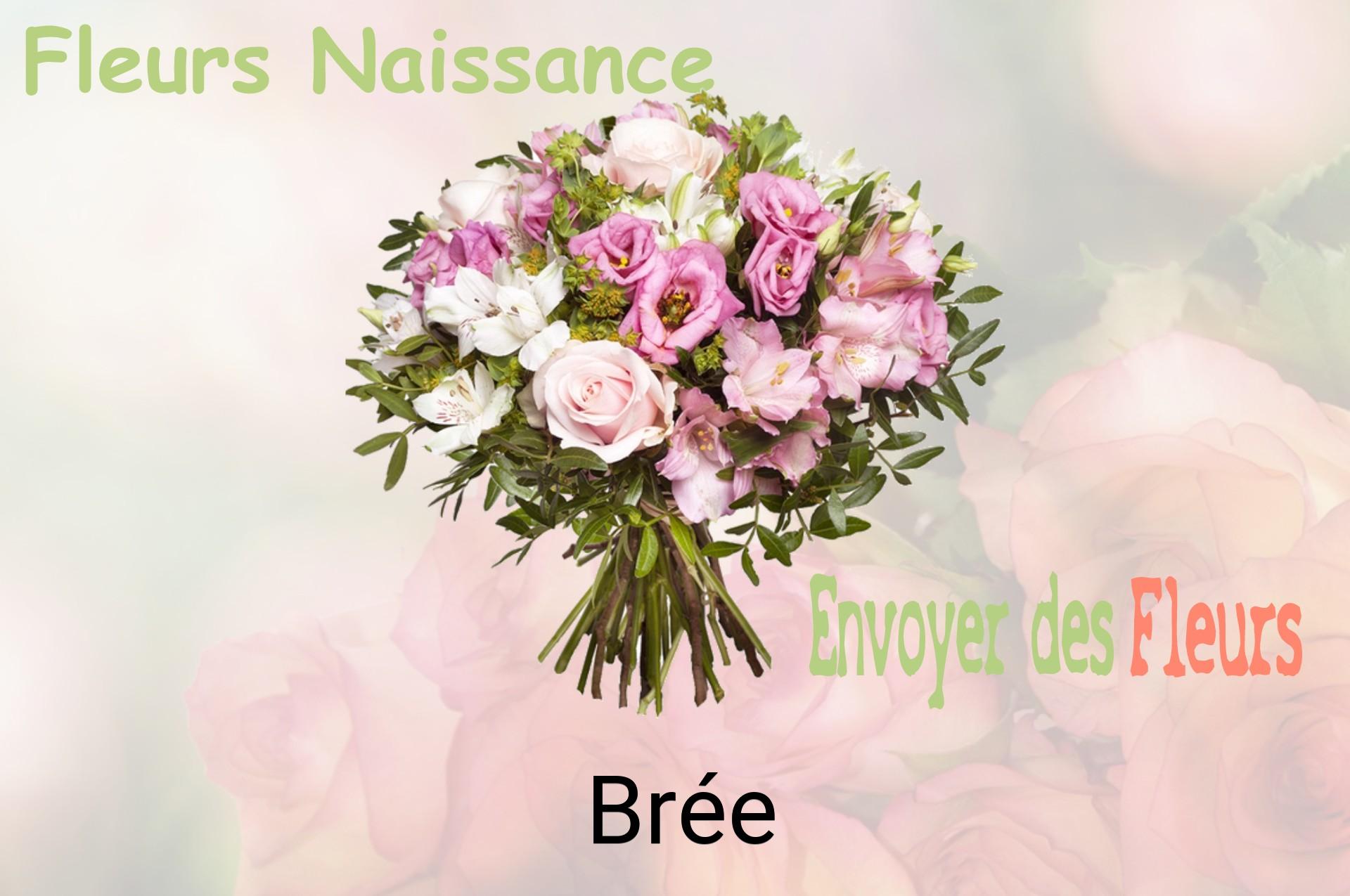 Bouquet de fleurs de naissance livré à Brée